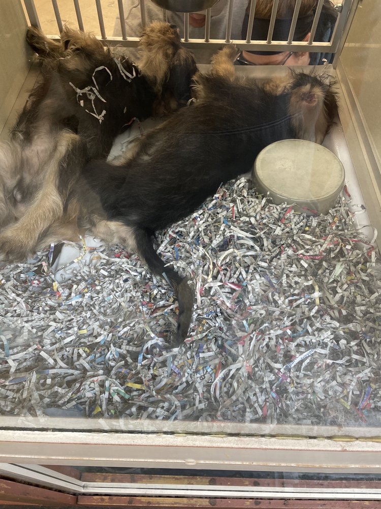 BACK TO NATURE PETS AND GROOMING Updated May 2024 110 N Dupont Hwy