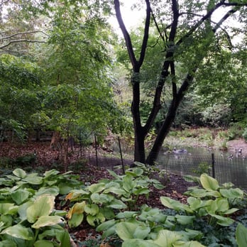 Flushing Meadows Corona Park - Parks Near Me Flushing Meadows Corona Park - Parks Near Me