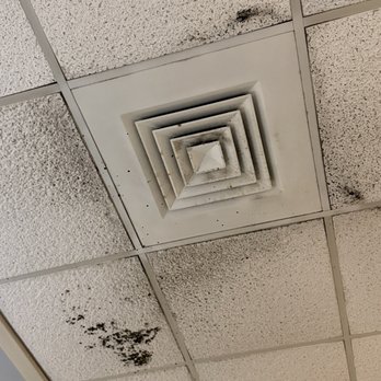 IHOP - The ceiling inside the entire restaurant - American Near Me - Stone Mountain, Georgia IHOP - The ceiling inside the entire restaurant - American Near Me - Stone Mountain, Georgia