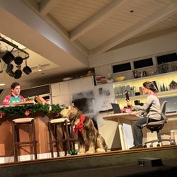 Walt Disney's Carousel of Progress - 1/5/2025