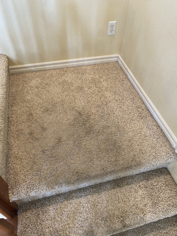 INFINITY CARPET CLEANING Updated August 2024 Request a Quote Las Vegas, Nevada Carpet