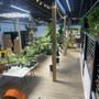 Photo of The Gay Ole Plant Shop
