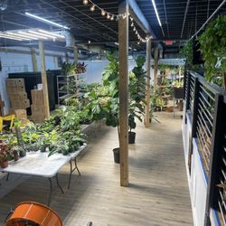 The Gay Ole Plant Shop - The propagation and overstock area- not open for customers.