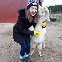 Cotton Creek Farms - Lots of alpaca love from Zinfandel
