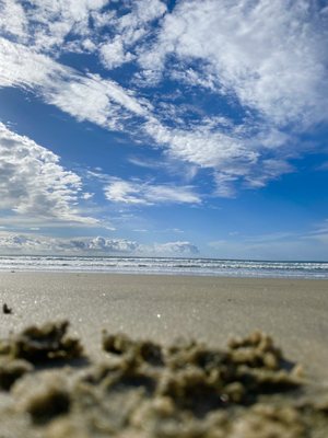 Black's Beach by null