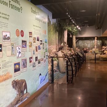 Dewey Short Visitor Center - Lower level displays - Visitor Centers Near Me - Branson, Missouri Dewey Short Visitor Center - Lower level displays - Visitor Centers Near Me - Branson, Missouri