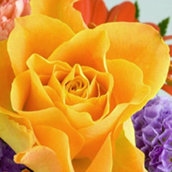 Vannessa Flowers - Florists Near Me - Staten Island, New York