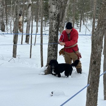 Bonz Beach Farms - From tapping the trees to your plate, hands on operation. - Honey Near Me - Onaway, Michigan Bonz Beach Farms - From tapping the trees to your plate, hands on operation. - Honey Near Me - Onaway, Michigan
