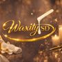 Waxity SD
