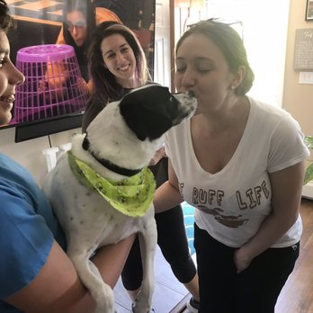 Dapper Tails - Pet Groomers Near Me