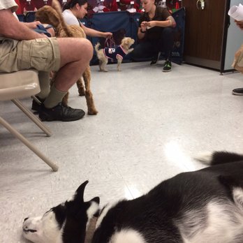 Petco - Doggie training. - Pet Training Near Me - North Miami Beach, Florida