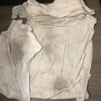 MOTEL 6 - Towels used to clean the floor - Hotels Near Me - Spring Hill, Florida