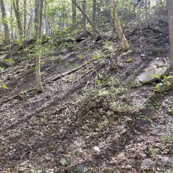 Moore Park Ravine - Parks Near Me - Toronto, Ontario Moore Park Ravine - Parks Near Me - Toronto, Ontario