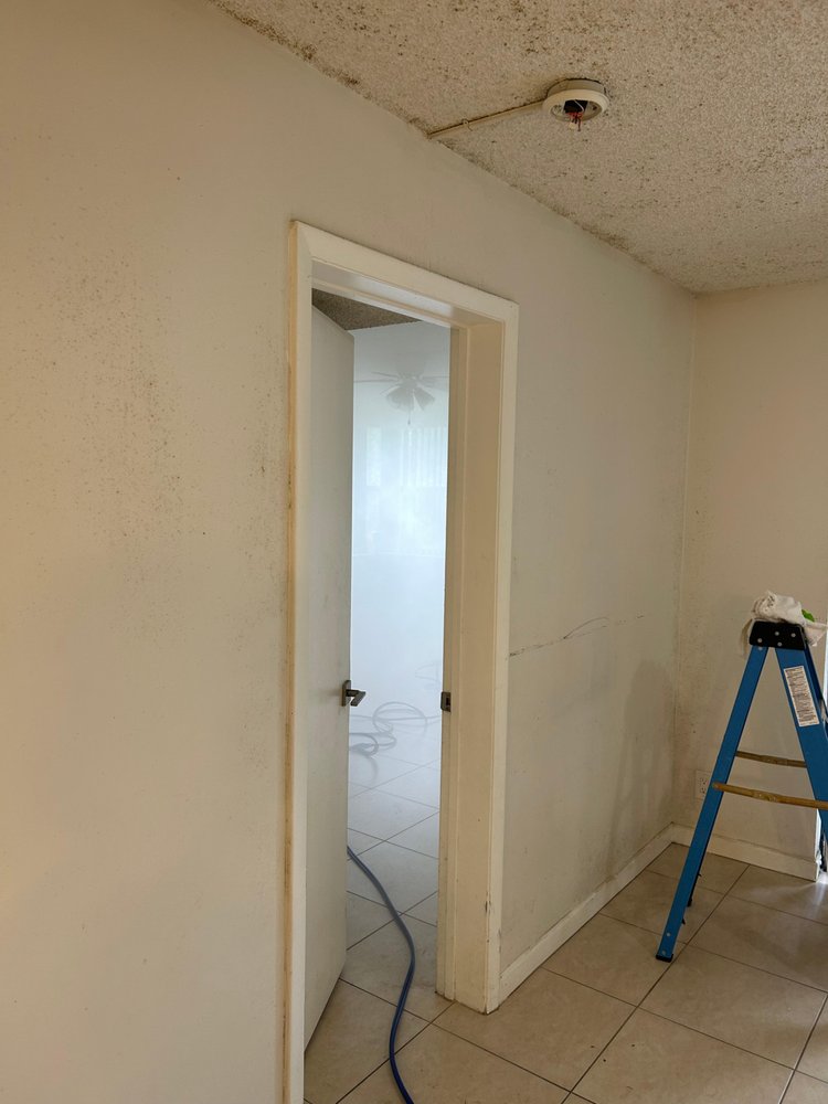 Pure Maintenance Mold Removal - mold inspector in North Palm Beach, FL