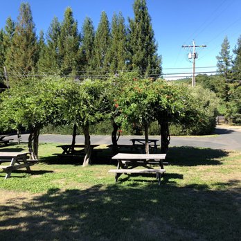 Husch Vineyards - Picnic area - Wineries Near Me - Philo, California