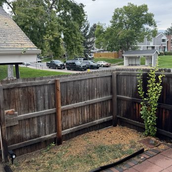 Maloney Tree Care - Tree Services Near Me Maloney Tree Care - Tree Services Near Me