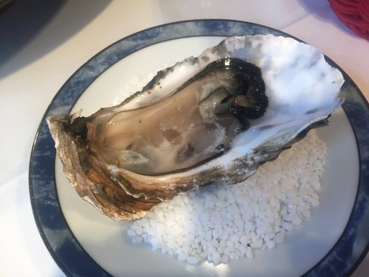 Auberge du Cheval Blanc by null