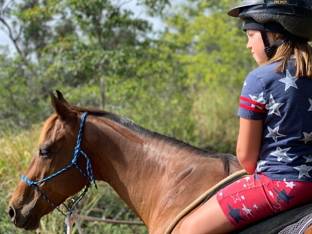 Wheeler Saddle Club - equestrian in Wahiawa, HI