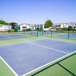 Friendly Acres RV Resort - Pickleball Courts