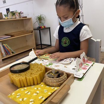 Growing Minds Montessori School - Montessori Schools Near Me - Bonita, California Growing Minds Montessori School - Montessori Schools Near Me - Bonita, California