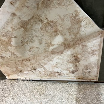 Ohio State Waterproofing - Brown mold due to moisture from behind walls - Waterproofing Near Me - Macedonia, Ohio Ohio State Waterproofing - Brown mold due to moisture from behind walls - Waterproofing Near Me - Macedonia, Ohio