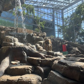 Downtown Aquarium - Museums Near Me - Denver, Colorado Downtown Aquarium - Museums Near Me - Denver, Colorado