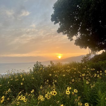 Palisades Park - Parks Near Me