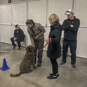 Valor K9 Academy - Shadow program student assisting in a puppy class - Pet Training Near Me - Medical Lake, Washington Valor K9 Academy - Shadow program student assisting in a puppy class - Pet Training Near Me - Medical Lake, Washington