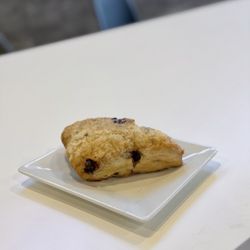 J M Global - Blueberry Scone