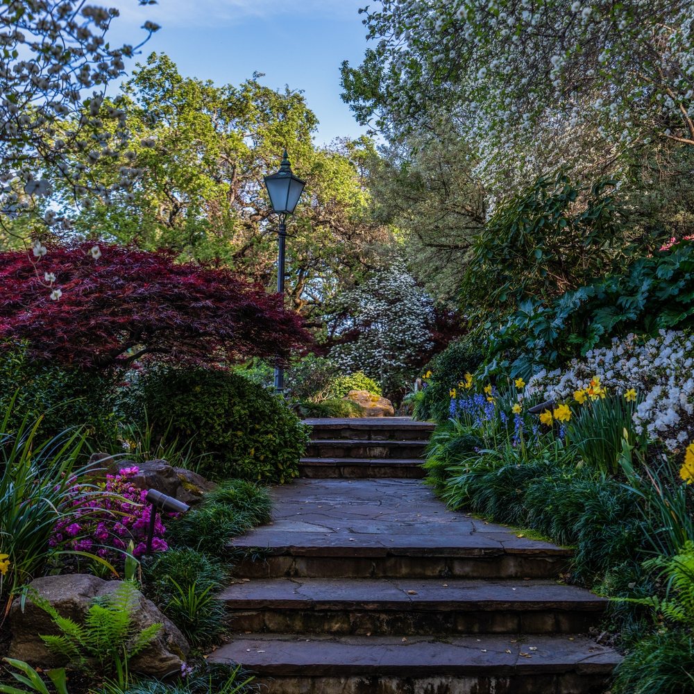 Far Niente - Spring time flowers in bloom and amazing groundskeeping! - Wineries Near Me - Oakville, California
