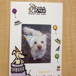 Central Bark Doggy Day Care