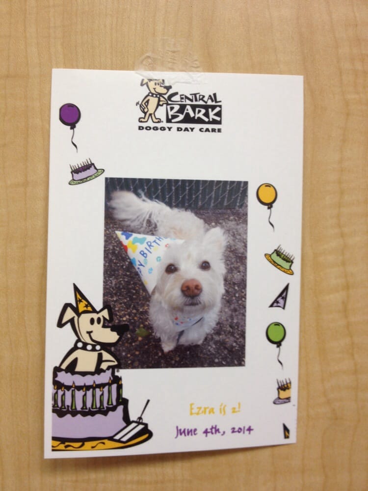 Central Bark Doggy Day Care - pet boarding facility in Milwaukee, WI