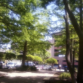 William B. Travis Building Cafeteria - Garden Setting Outside Travis Building Cafeteria with Picnic Tables to Enjoy your Meal as Birds Chirp ! Dr Wiley Coyote SF0 ... - Fast Food Near Me - Austin, Texas