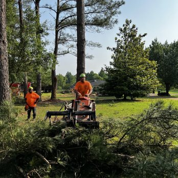 Big John's Tree Service - Tree Services Near Me
