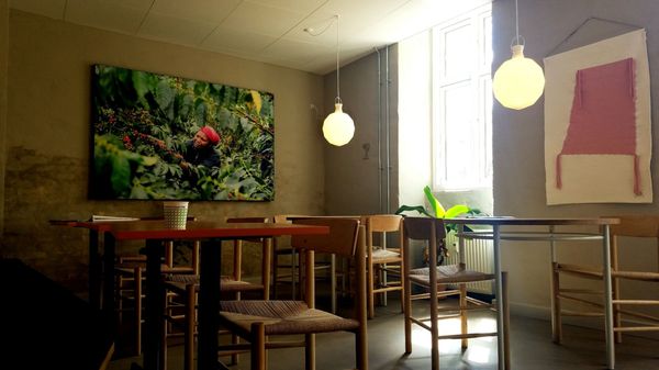 Coffee Collective Jægersborggade by null