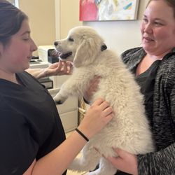All About Pets Veterinary Center - Rocky loves the staff at all about pets.