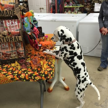 Bones 2 Go - Pet Stores Near Me - Jersey Village, Texas Bones 2 Go - Pet Stores Near Me - Jersey Village, Texas
