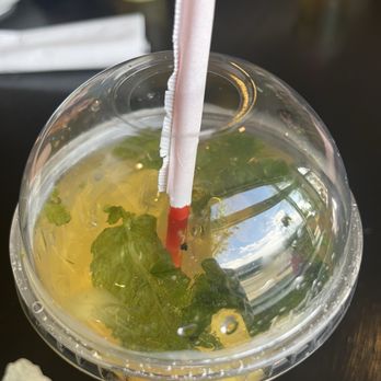 Urban Burma - Ginger mint - Burmese Near Me - Aurora, Colorado Urban Burma - Ginger mint - Burmese Near Me - Aurora, Colorado