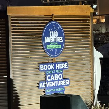Cabo Adventures - Grand central station for all the tours, sails, dolphin petting, snorkeling etc. - Boat Tours Near Me - Cabo San Lucas, BCS Cabo Adventures - Grand central station for all the tours, sails, dolphin petting, snorkeling etc. - Boat Tours Near Me - Cabo San Lucas, BCS
