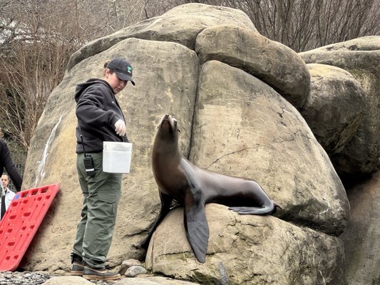 Central Park Zoo by null