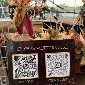 Peltzer Pumpkin Farm - Pumpkin Patches Near Me - Temecula, California