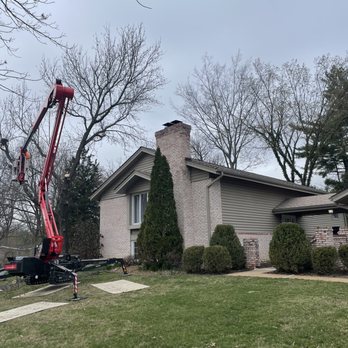 Complete Tree Service of St Louis - Tree Services Near Me - Ballwin, Missouri Complete Tree Service of St Louis - Tree Services Near Me - Ballwin, Missouri