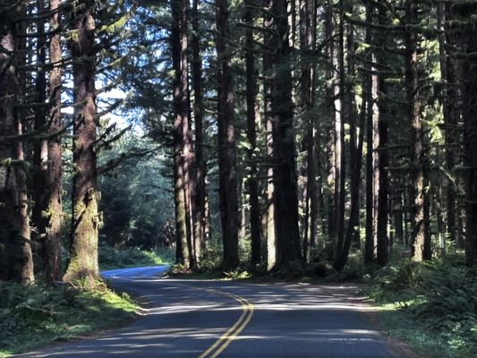 Log Cabin Resort by null