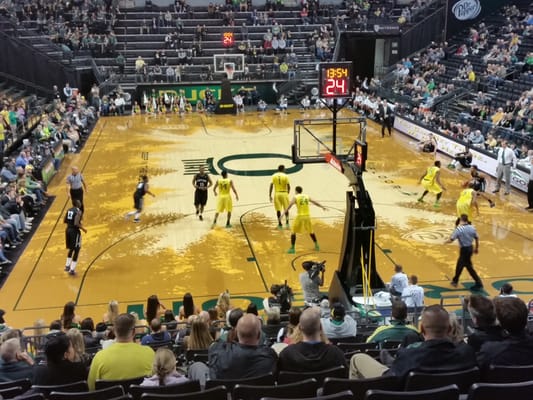 Matthew Knight Arena by null