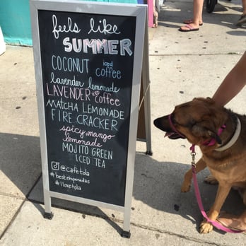 Cafe Tola - Even Zoey the pup loves iced coffee! - Coffee & Tea Near Me - Chicago, Illinois Cafe Tola - Even Zoey the pup loves iced coffee! - Coffee & Tea Near Me - Chicago, Illinois