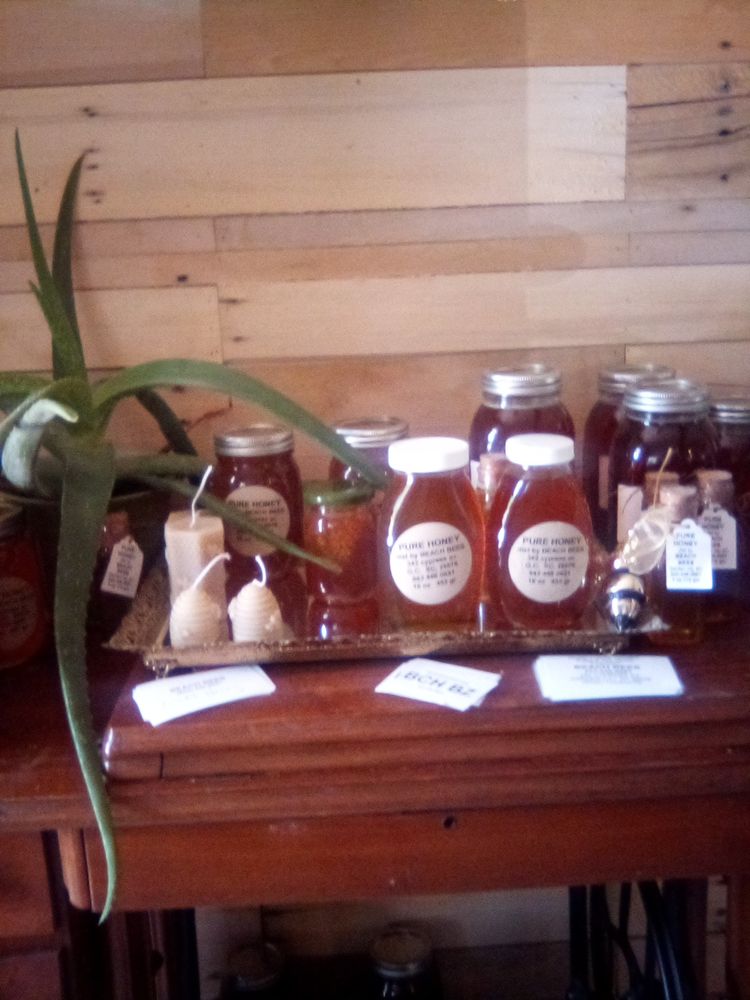 Beach Bees - beekeeping in Murrells Inlet, SC