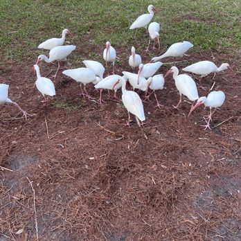 Lake Eola Park - Parks Near Me - Orlando, Florida
