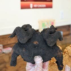 Cuttlefish ink whole fried chicken