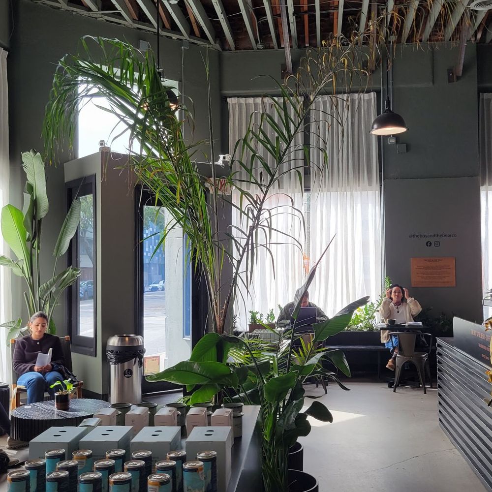 The Boy & The Bear - Coffee & Tea Near Me - Pasadena, California The Boy & The Bear - Coffee & Tea Near Me - Pasadena, California