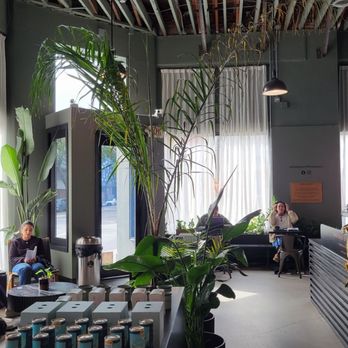 The Boy & The Bear - Coffee & Tea Near Me - Pasadena, California